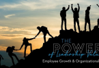 leadership and power culture